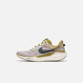 Air Zoom Pegasus 41 SP Sneaker in College Grey/Anthracite