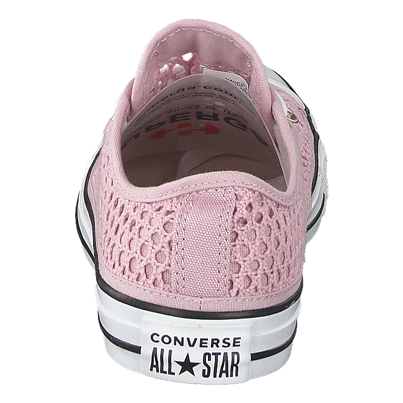 Chuck Taylor All Star Ox Plum Chalk/white/black
