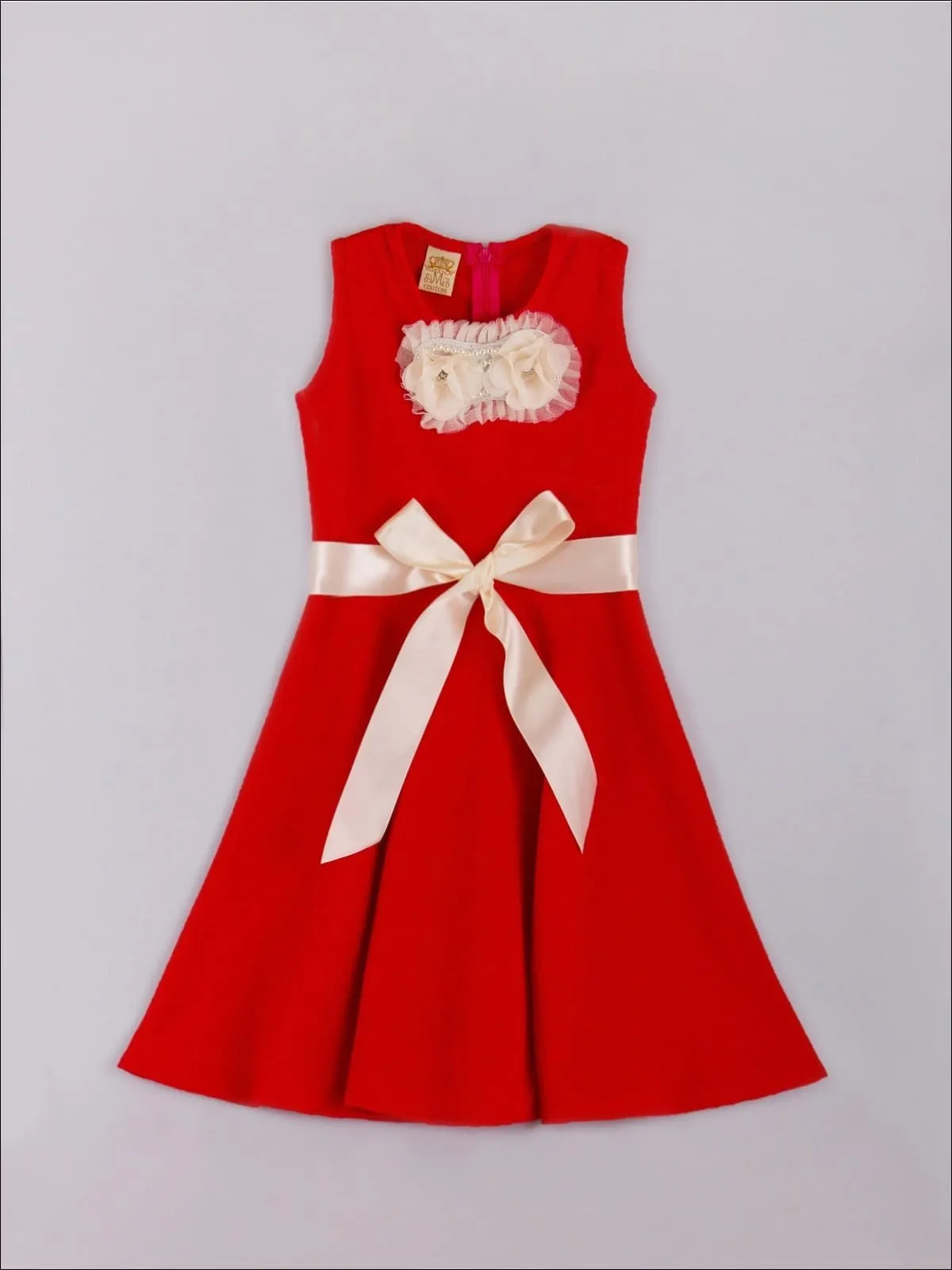 Girls Red Fancy Appliqué Skater Dress